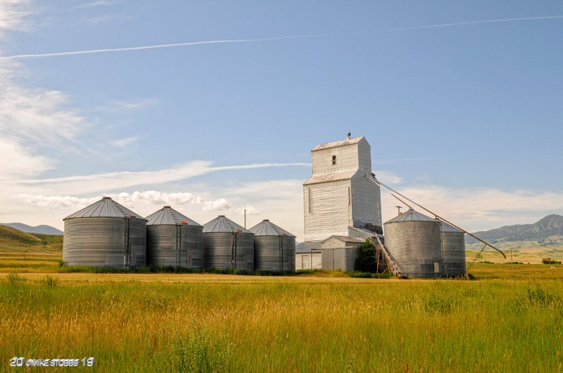 Shonkin Montana 2009