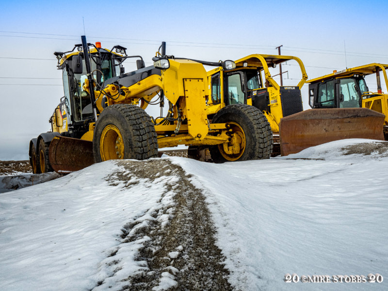 Wintered CAT's