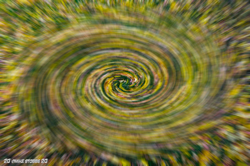 Fall Spin Blur