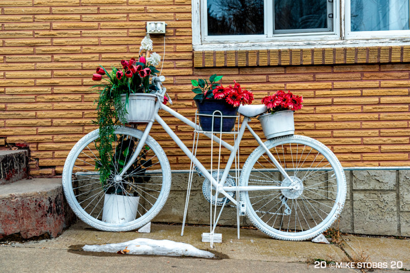 My White Bicycle