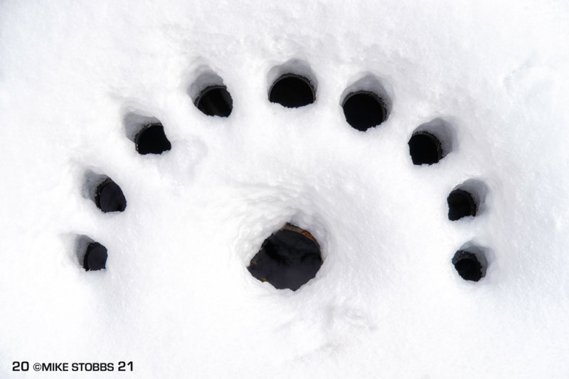 Snow Patterns