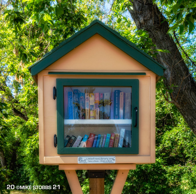 Little Free Library