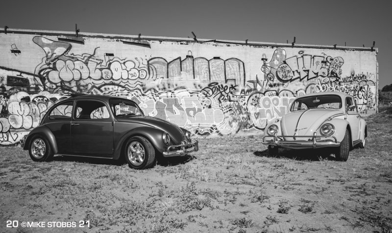 VW's  Black & White