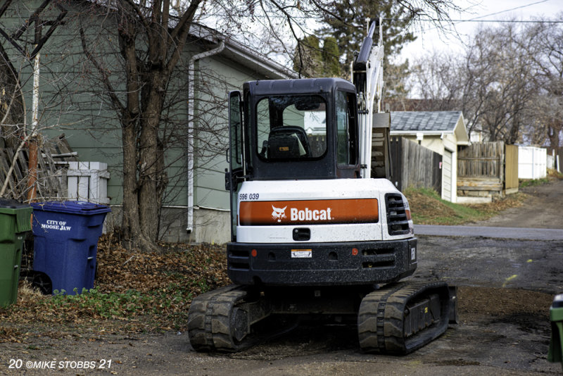 Back Alley Bobcat.jpg