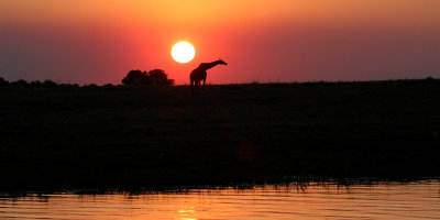 Sundown, Chobe River