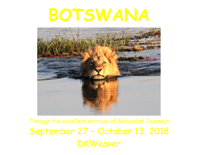 botswana__2018