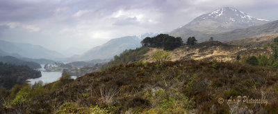 Across the Glen 