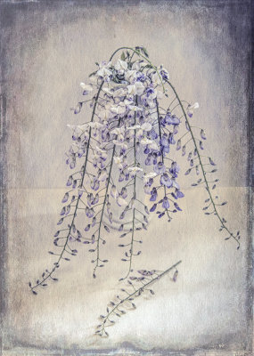 The Blues