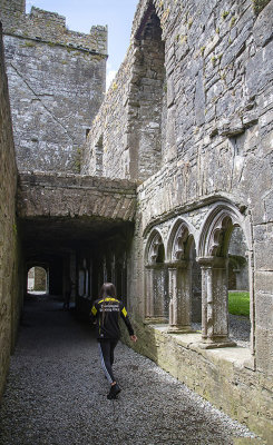 Bective Abbey