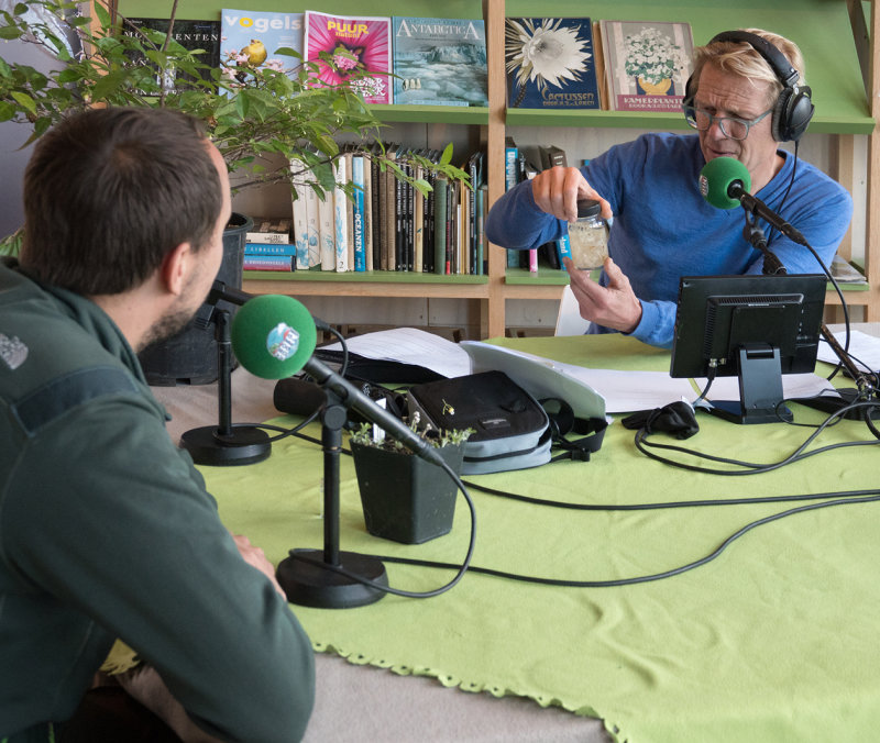 radio_1.jpg