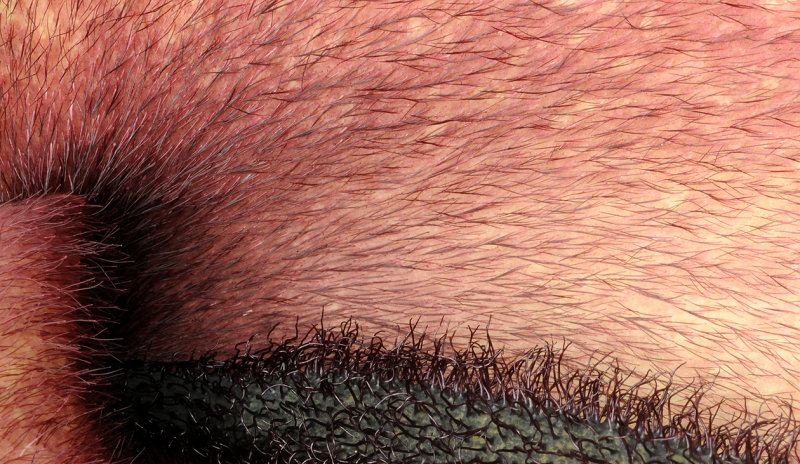 hairy stuff.jpg