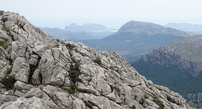 View from Puig Major.4.jpg
