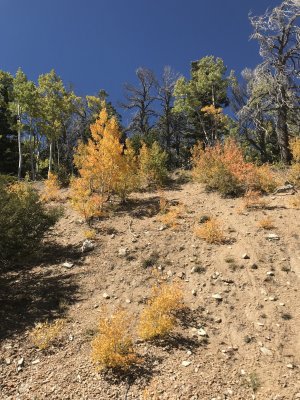 Great Basin NP Dark Sky