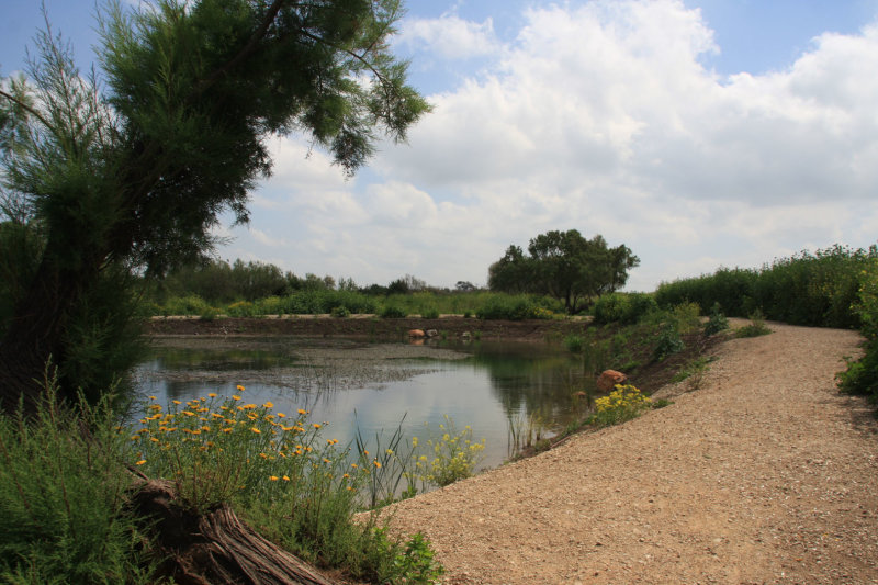 Park-Afek_11-4-11 (112).JPG
