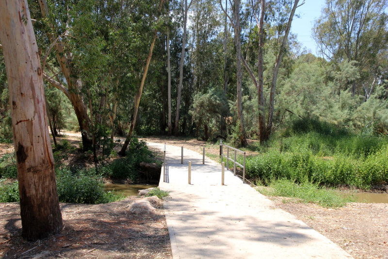 Kishon_5-7-2021 (8).JPG