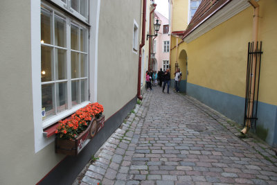 Tallinn_9-7-2015 (206).JPG