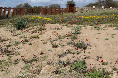 Nahariya_23-4-2019 (46).JPG