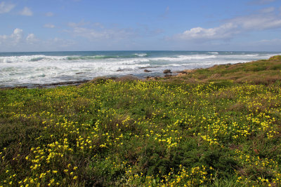 Nahariya_14-3-2019 (41).JPG