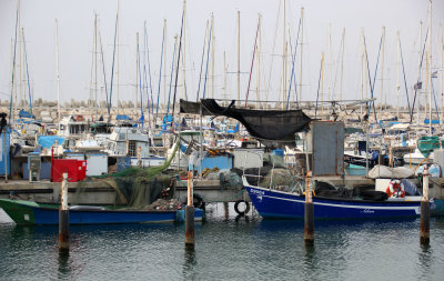 Ashkelon_5-2-2019 (4).JPG