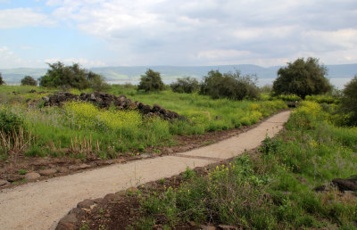 Kfar-Nahum_26-3-2019 (47).JPG