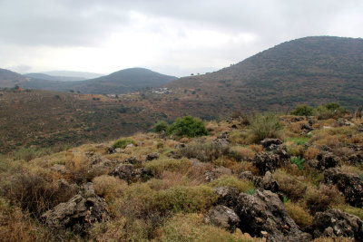 Karmiel_27-12-2019 (24).JPG