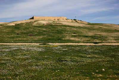 Tel-Arad_27-2-2020 (7).JPG