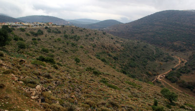 Karmiel_27-12-2019 (4).JPG