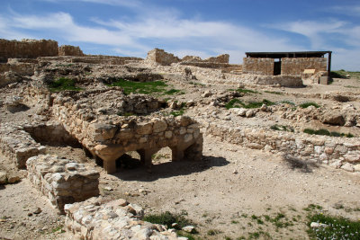 Tel-Arad_27-2-2020 (17).JPG