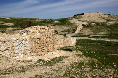 Tel-Arad_27-2-2020 (30).JPG