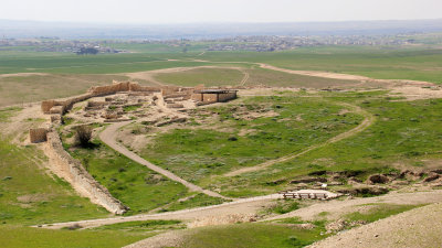 Tel-Arad_27-2-2020 (53).JPG