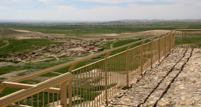Tel-Arad_27-2-2020 (81).JPG