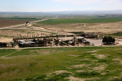 Tel-Arad_27-2-2020 (52).JPG