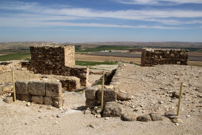 Tel-Arad_27-2-2020 (58).JPG