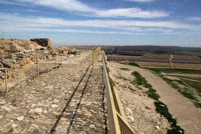 Tel-Arad_27-2-2020 (78).JPG