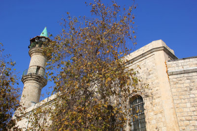 Haifa_22-2-2020 (36).JPG