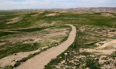 Tel-Arad_27-2-2020 (75).JPG