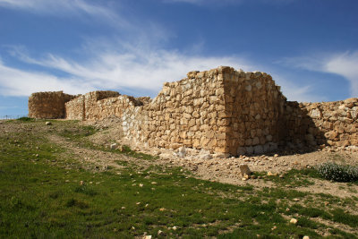 Tel-Arad_27-2-2020 (32).JPG