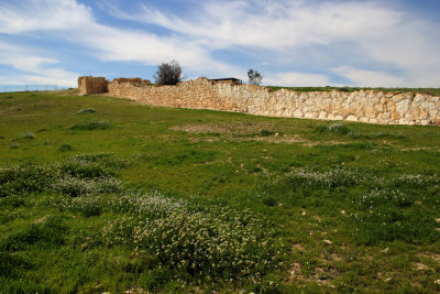Tel-Arad_27-2-2020 (34).JPG