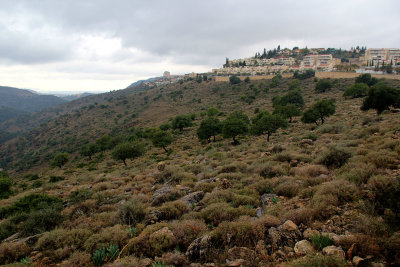 Karmiel_27-12-2019 (7).JPG