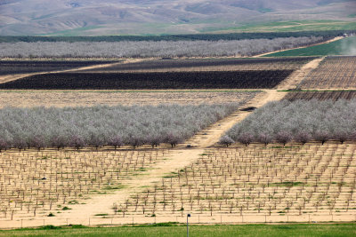 Tel-Arad_27-2-2020 (40).JPG