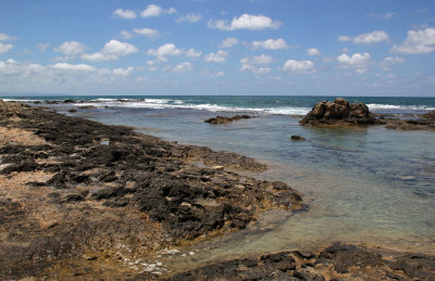 Ahziv_24-6-2020 (39).JPG