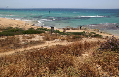 Ahziv_5-6-2020 (33).JPG