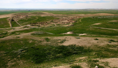 Tel-Arad_27-2-2020 (76).JPG