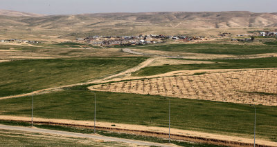 Tel-Arad_27-2-2020 (49).JPG