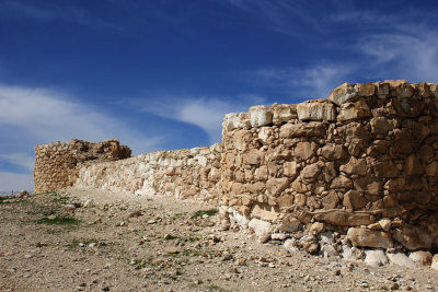 Tel-Arad_27-2-2020 (28).JPG