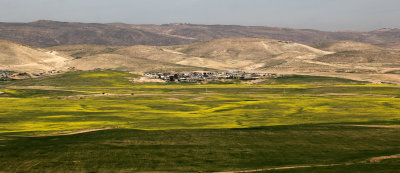 Tel-Arad_27-2-2020 (45).JPG