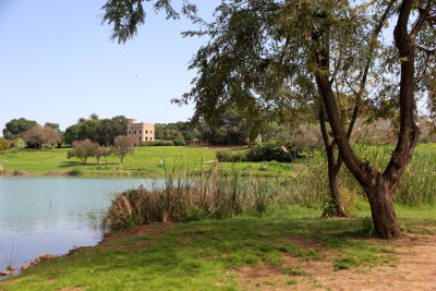 Tel-Afek_23-3-2016 (76).JPG