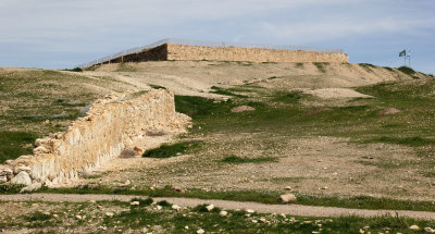 Tel-Arad_27-2-2020 (13).JPG