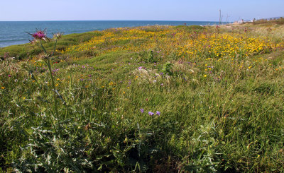 Nahariya_23-4-2019 (85).JPG