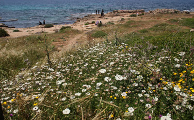 Rosh-Hanikra_2-5-2020 (1).JPG